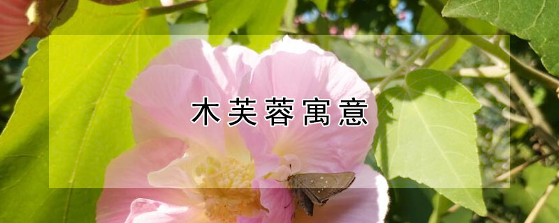 ľܽʲôԢ⣿ʺ͸ʲôˣ