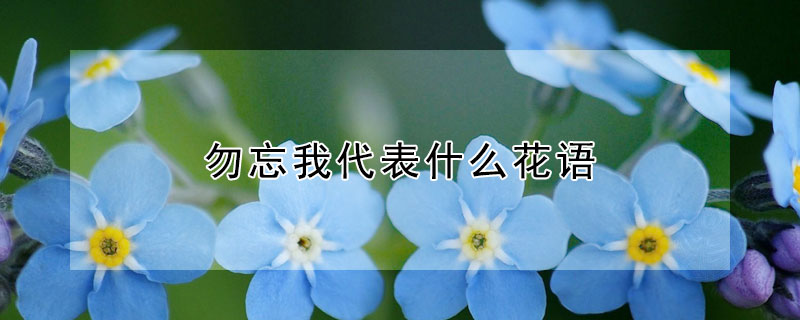 ҴʲôʲôԢ⣿