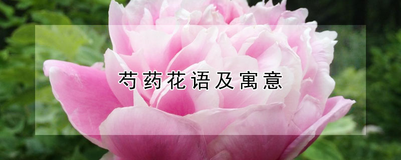 ҩＰԢܣҩʲô