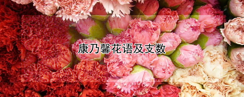 ܰＰ֧֦ͬĿܰЩ壩
