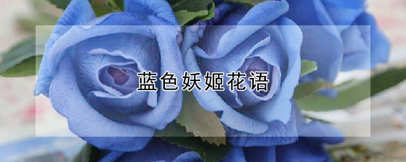 ɫĻɫʲôԢ⣩