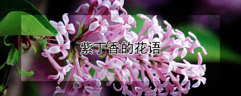 ϶Ļ