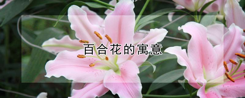 ٺϻԢ⣨ٺϻʲô壩