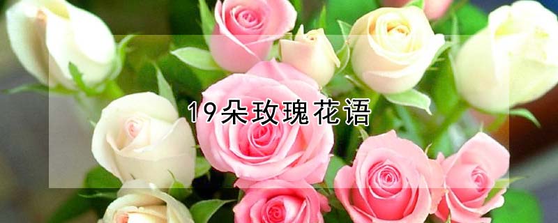 19õ廨19õʲô˼