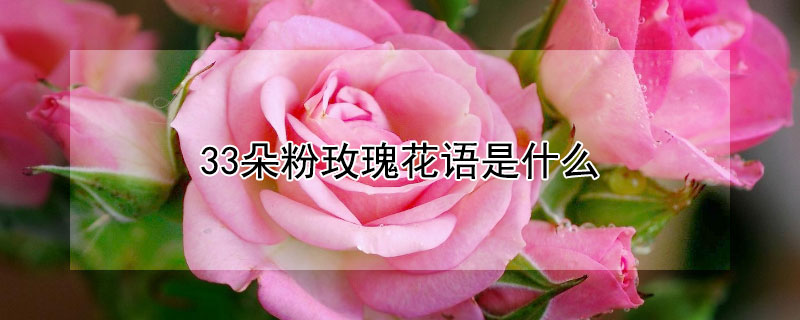 33õ廨ʲô33õЩ壩