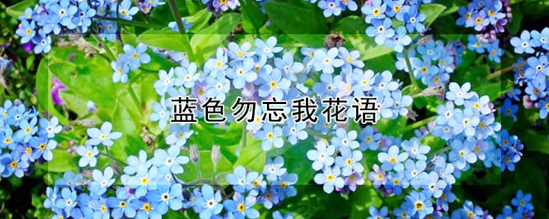 ɫҵĻɫʲôԢ⣩