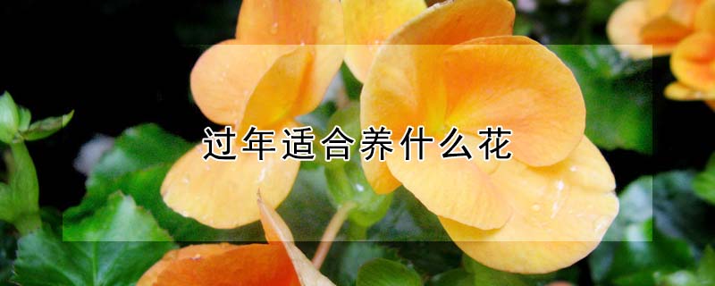 ʺʲô
