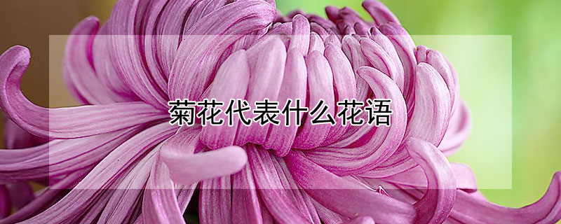ջʲôջЩ壩