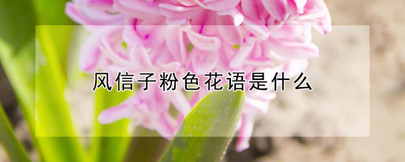 ӷɫʲô