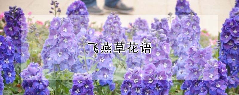 ݵĻʲôԢ⣩