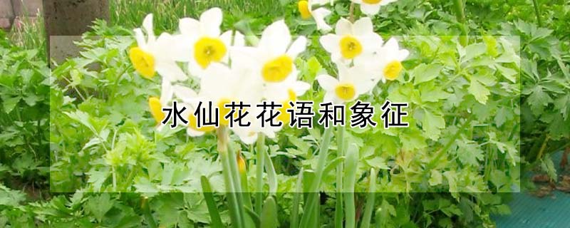 ˮɻˮɻʲôԢ⣩