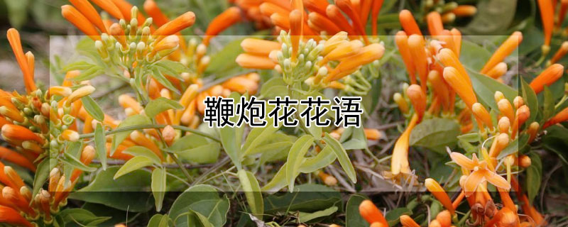 ڻĻʲôڻЩԢ⣿