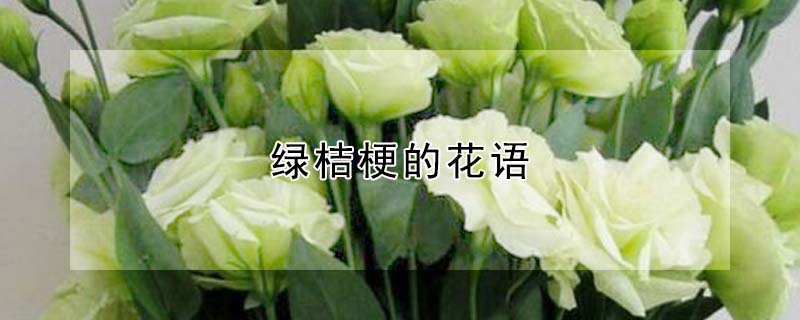 ̽۹Ļʲô̽۹ʲôԢ⣿