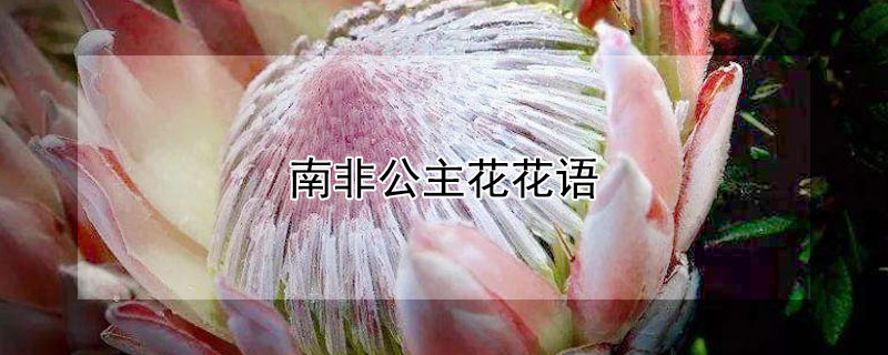 ϷǹĻϷǹԢ