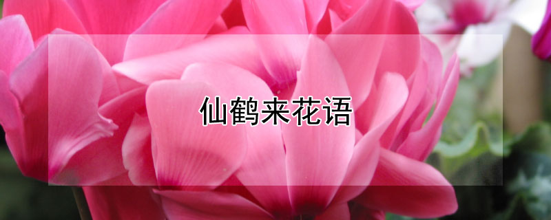 ɺĻɺЩ壩