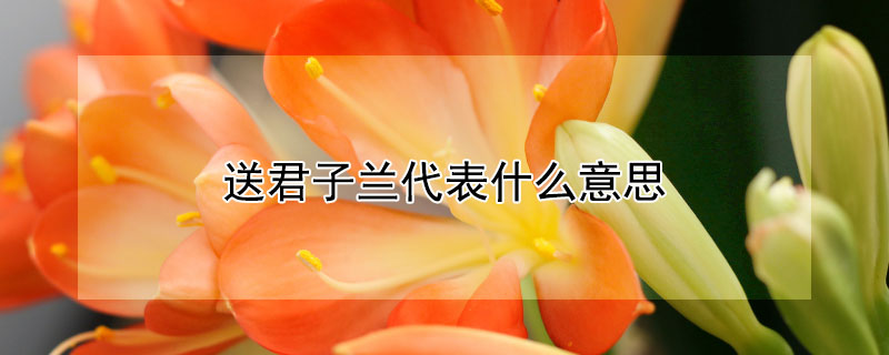 ;ʲô˼;Щ壩