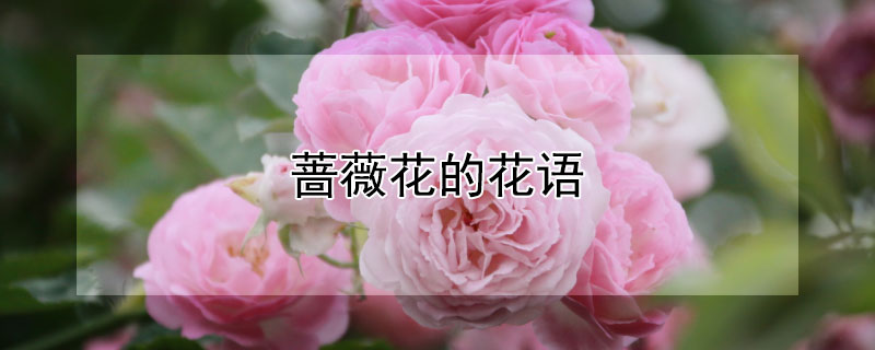 ǾޱĻǾޱЩԢ⣩