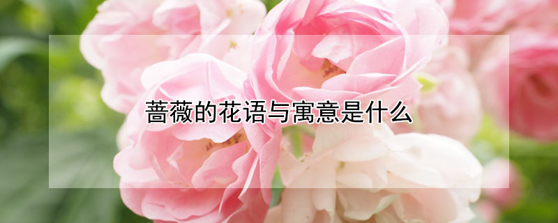 ǾޱĻԢʲôǾޱЩ壩