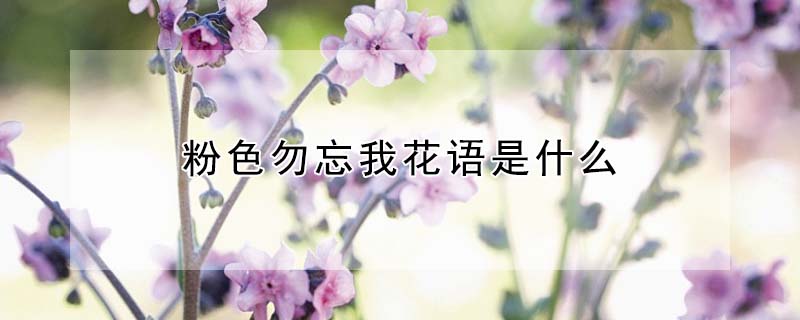 ɫһʲôɫҵԢ