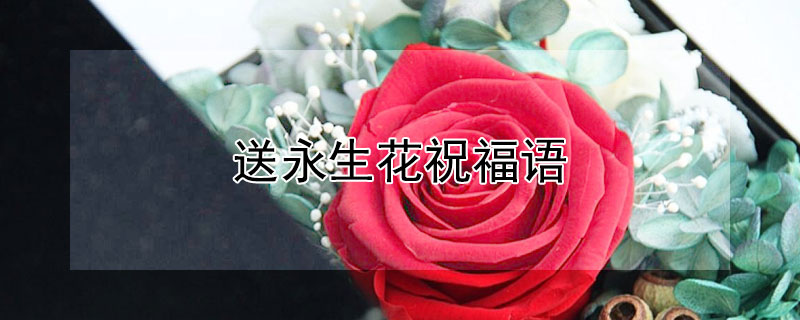 ʲôף