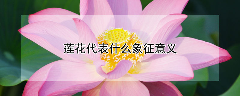 ʲô壨ЩԢ⣩