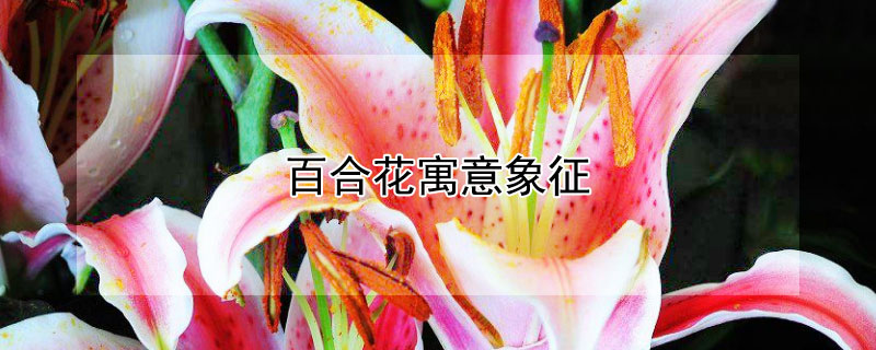 ٺϻԢٺϻЩԢ⣩