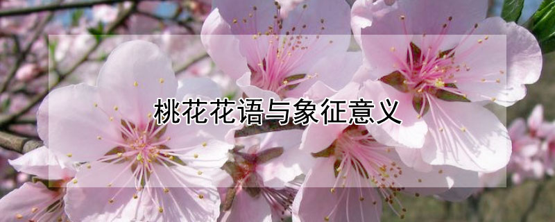 һ壨һЩԢ⣩
