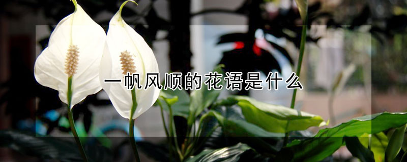 һ˳Ļʲôһ˳ʲôԢ⣿