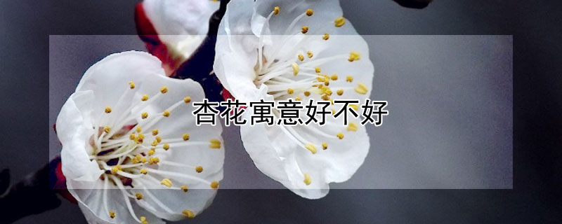 ӻԢòãӻԢ
