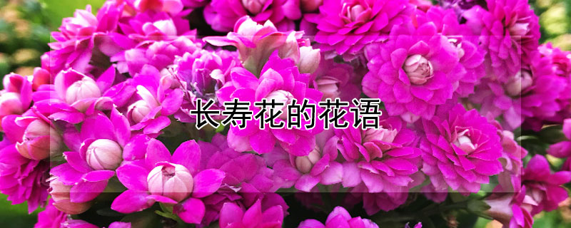 ٻĻٻЩԢ⣿