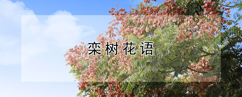 ʲôԢ