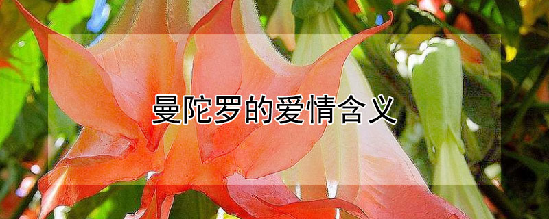 ޵İ麬壬޵Ļ