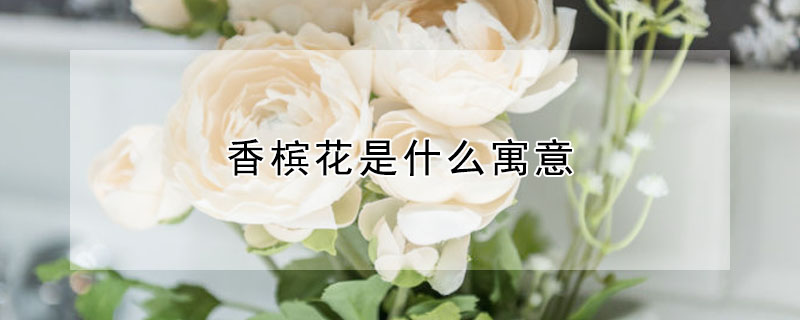 ĻʲôԢ⣿ĻĻ