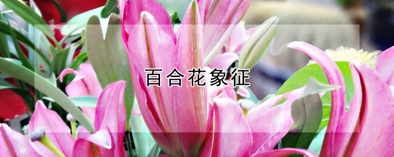 ٺϻٺϻʲôԢ⣿