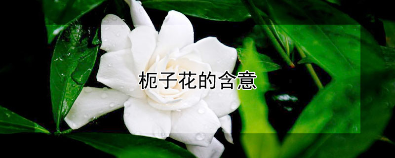 ӻʲô壿
