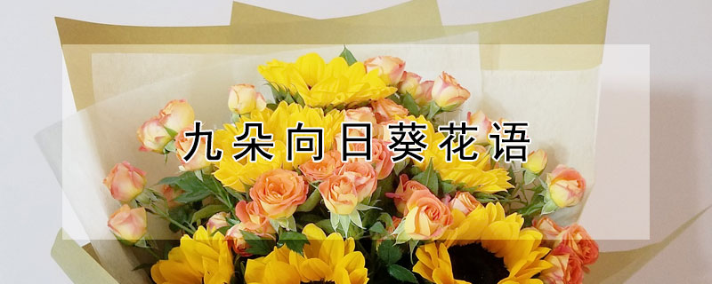 ŶտŶտԢ