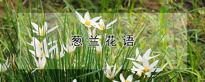 ʲôԢ
