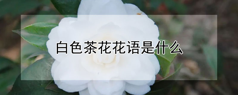 ɫ軨ʲôɫ軨Ԣ
