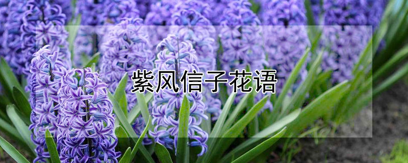ϷӻﺬʲôϷʲôԢ⣿