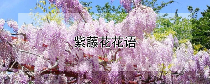 ٻʲô˼ٻʲôԢ⣿