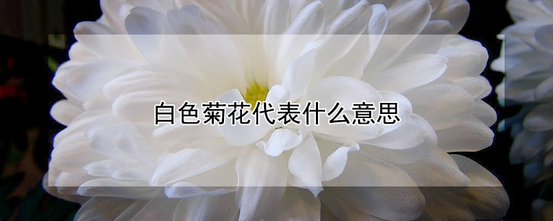 ɫջʲô˼ɫջԢ