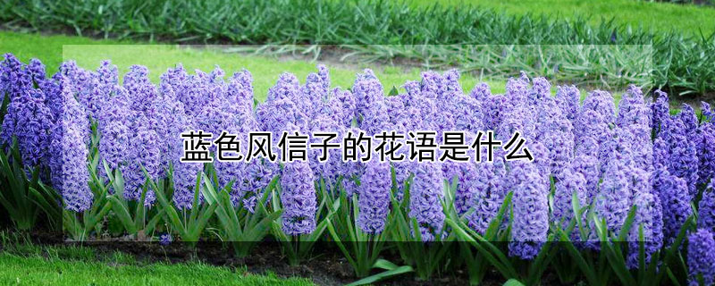 ɫӵĻʲôɫӵԢ