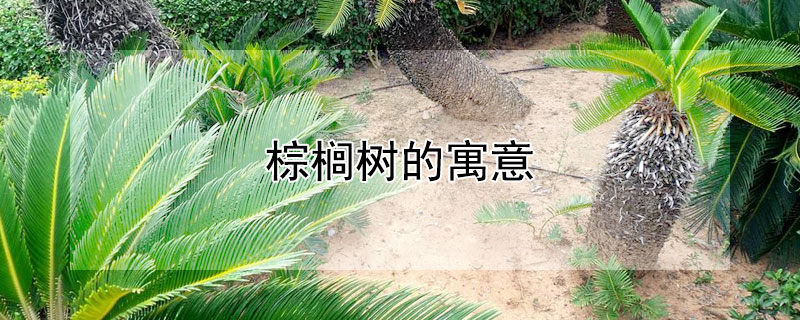 Ԣʲôʲô壿