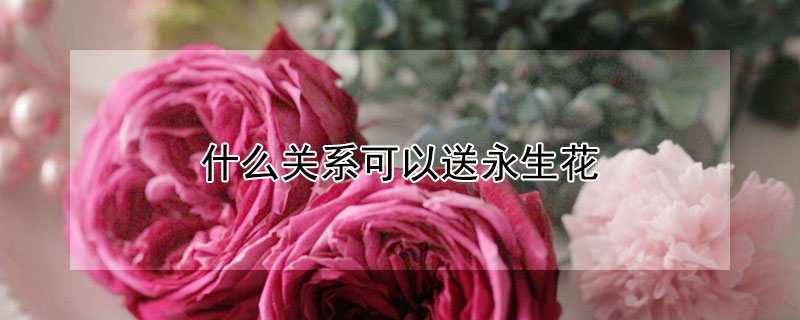 ʲôϵ