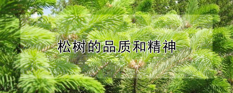 Ʒʺ;