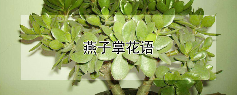 ƵĻʲôʲôԢ⣿