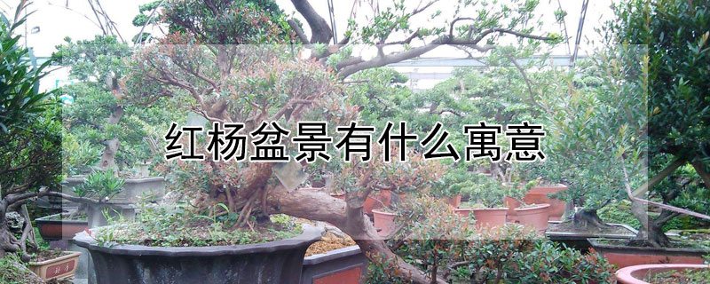 辰ʲôԢ⣿ʺ͸ʲôˣ