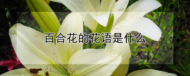 ٺϻĻʲôٺϻЩԢ⣿