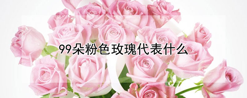 99ɫõʲô壨99ɫõԢ⣩