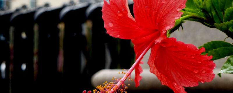 ɣҶĵĻ